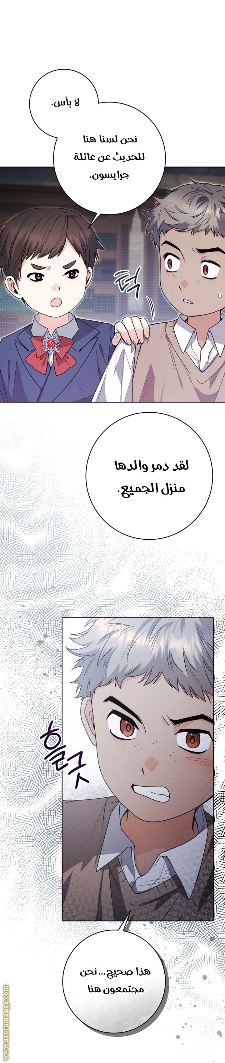 الصفحة 13