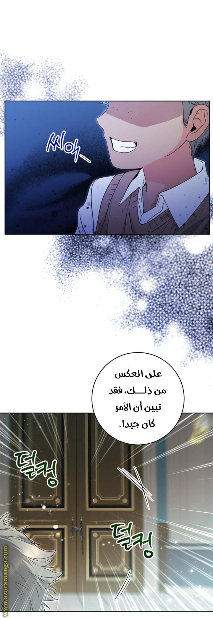 الصفحة 27