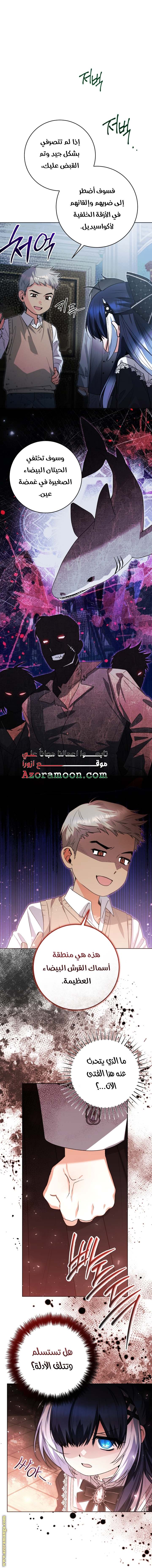 الصفحة 29