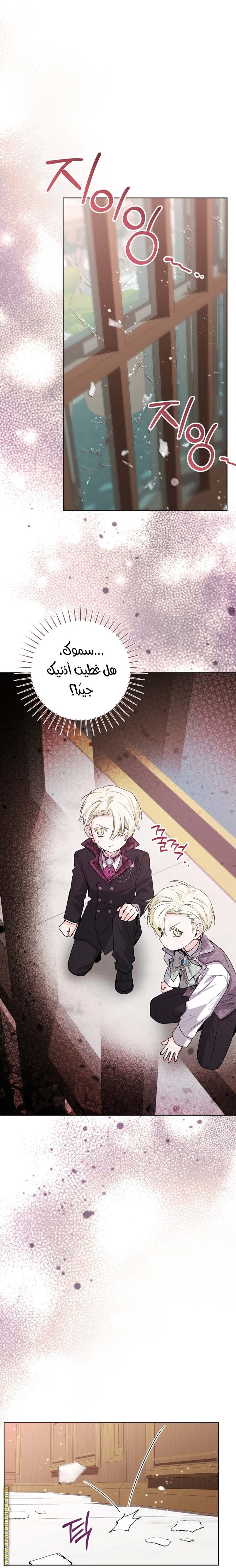 الصفحة 42