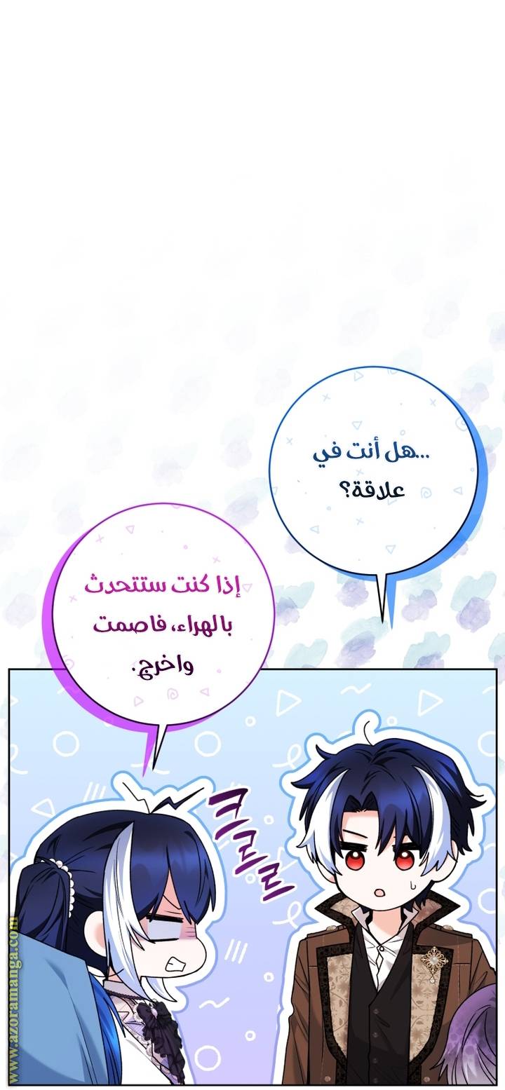 الصفحة 29