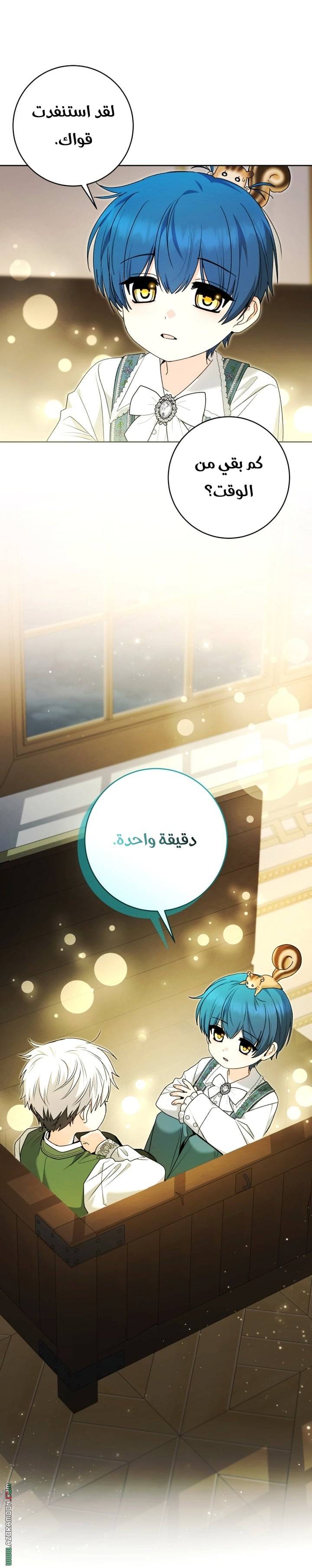 الصفحة 19