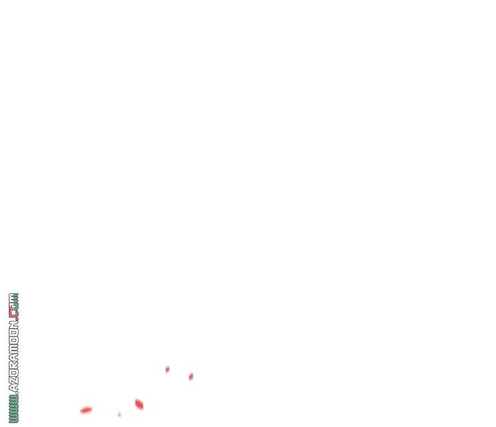 الصفحة 21