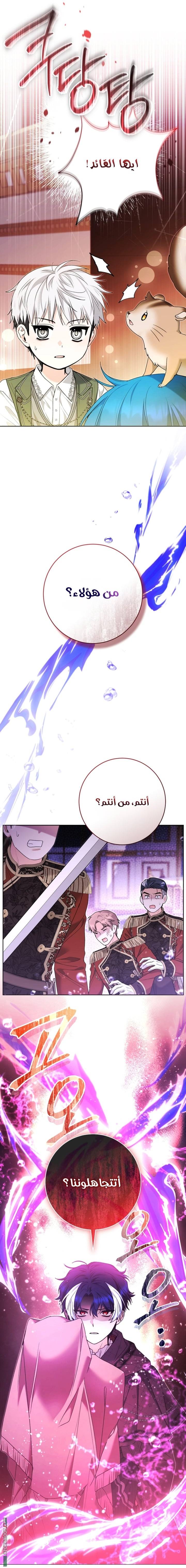 الصفحة 22