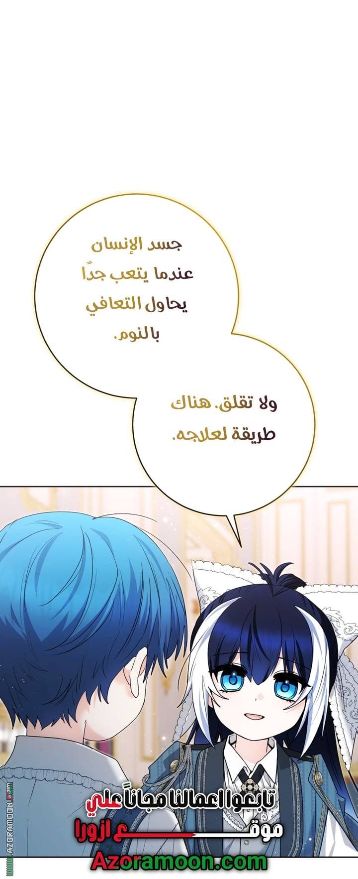 الصفحة 41