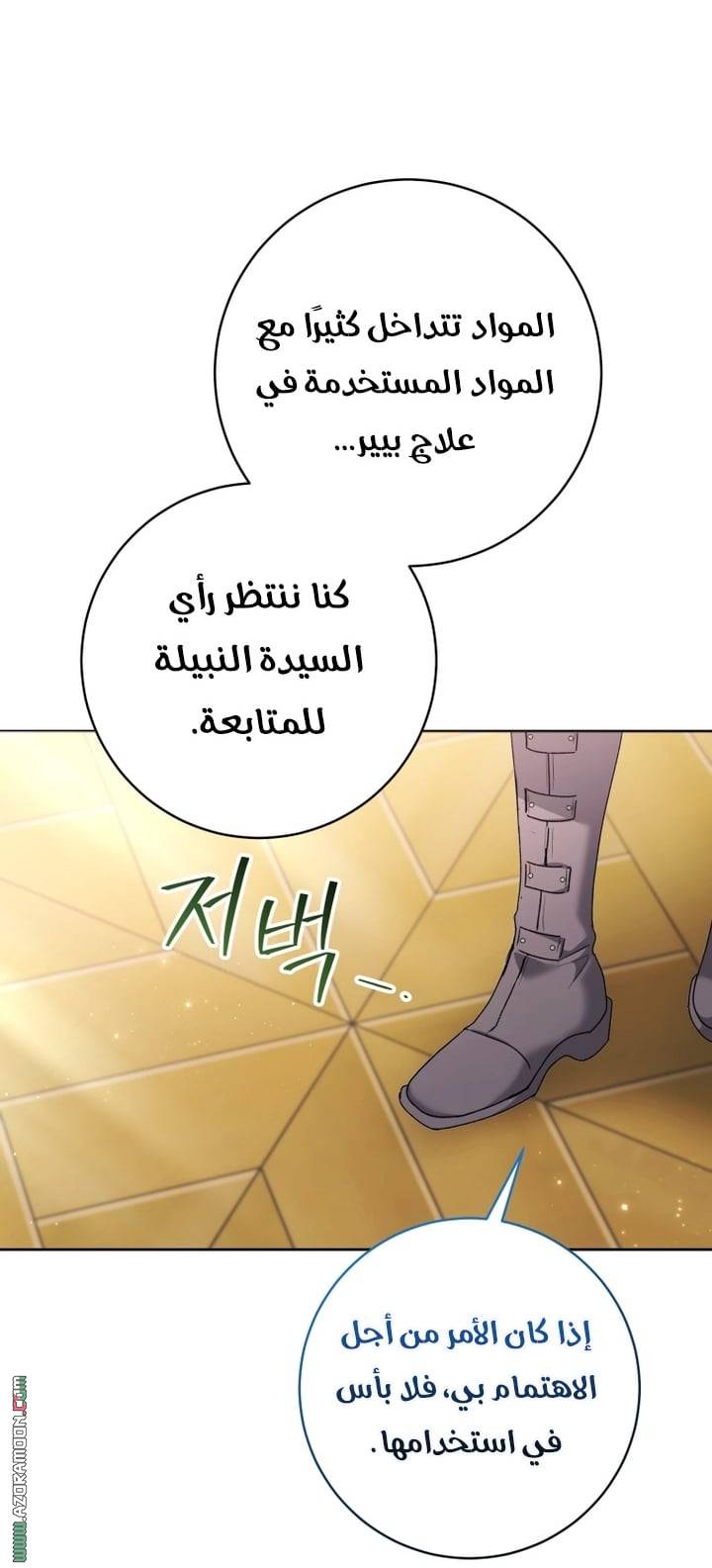 الصفحة 43