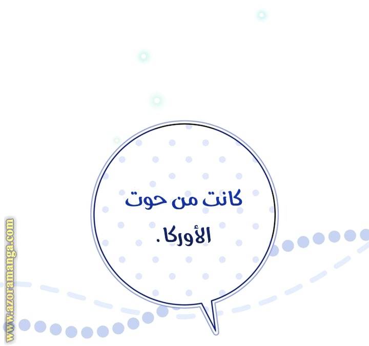 الصفحة 28