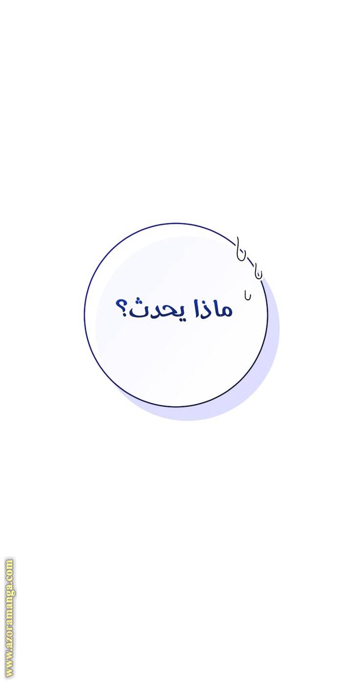 الصفحة 61