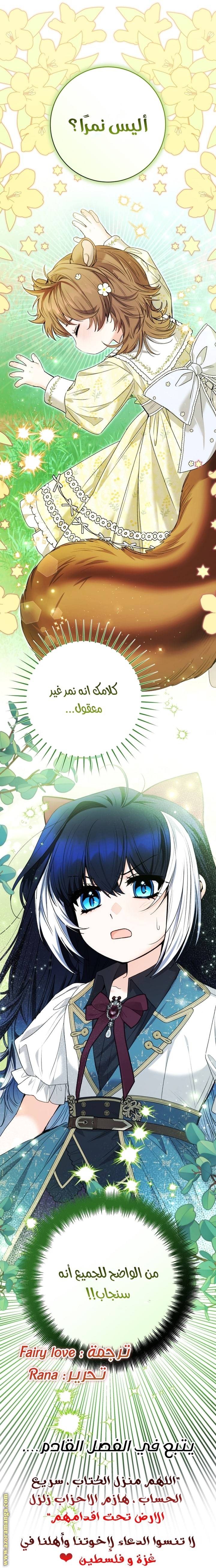 الصفحة 67