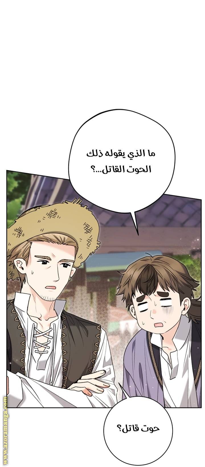 الصفحة 26