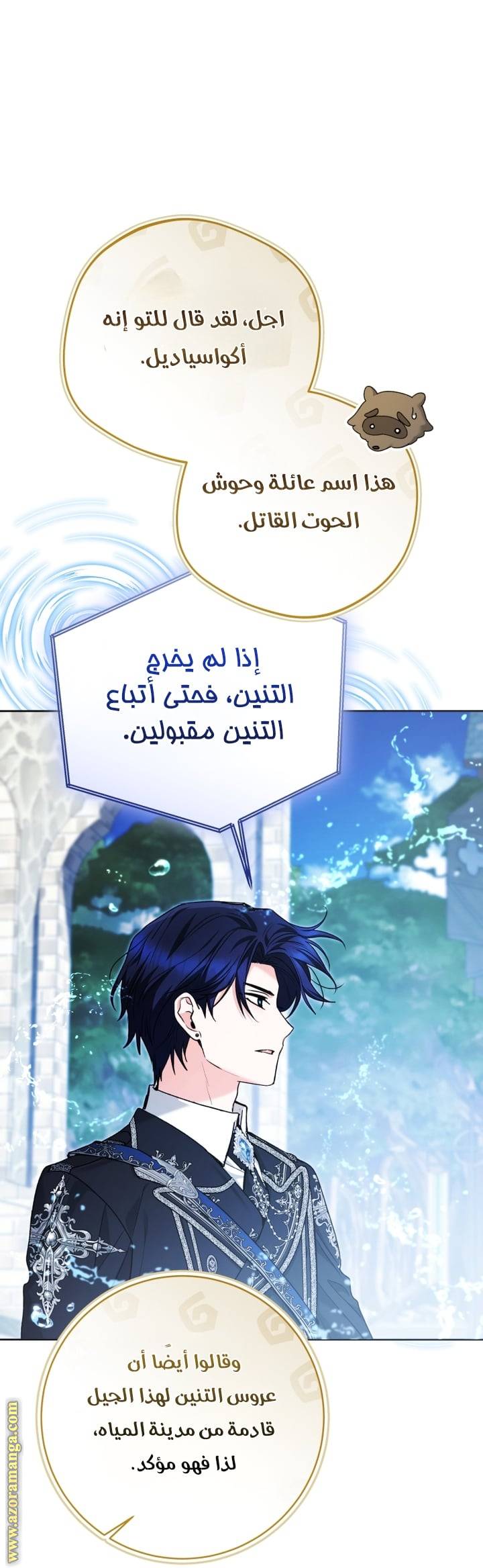 الصفحة 27