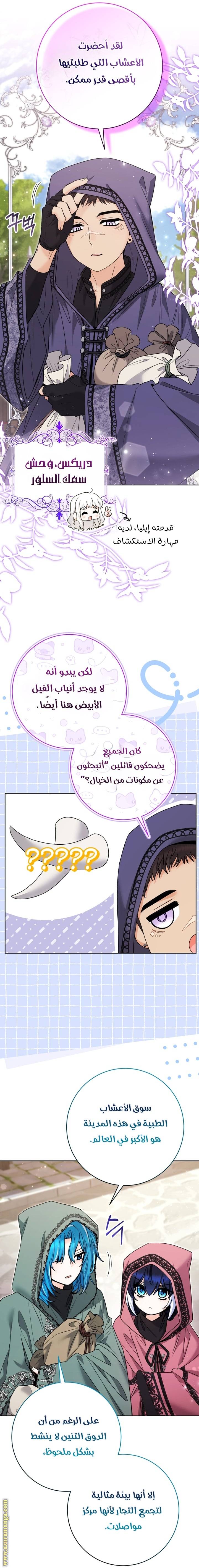 الصفحة 41