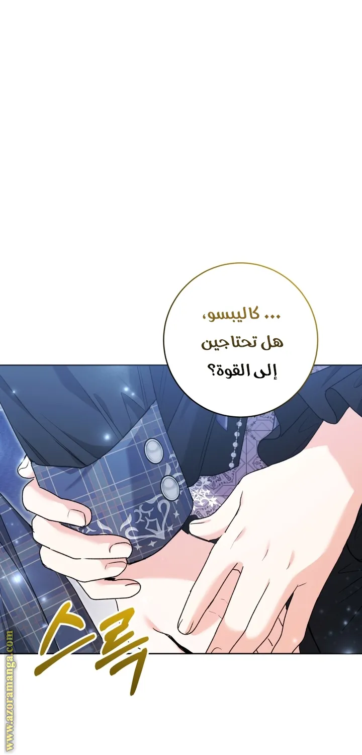 الصفحة 44