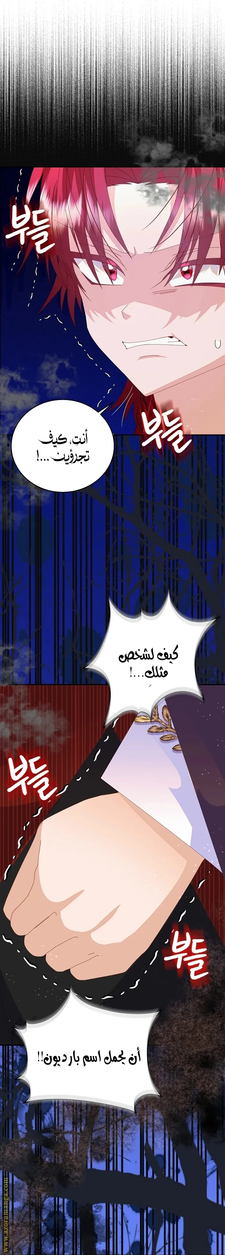 الصفحة 28