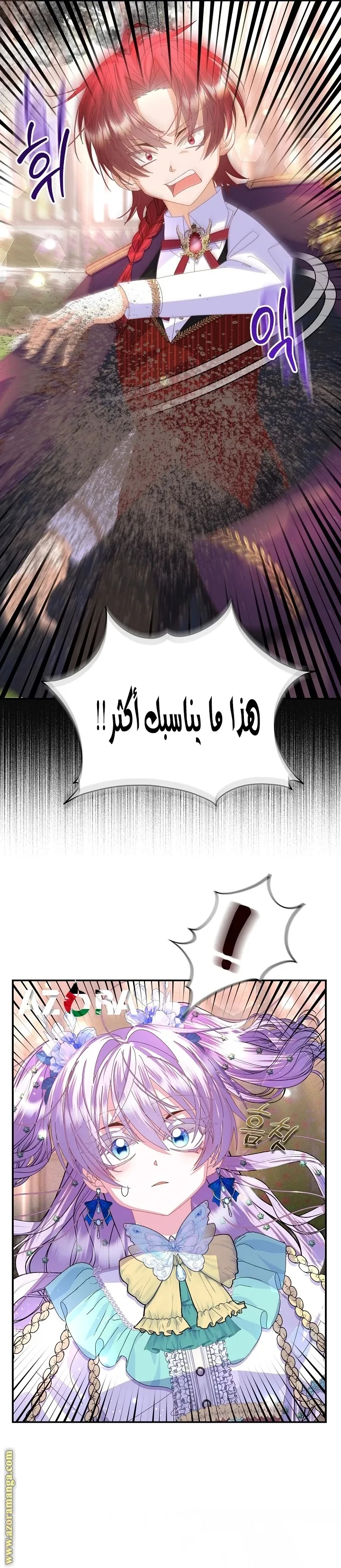 الصفحة 29