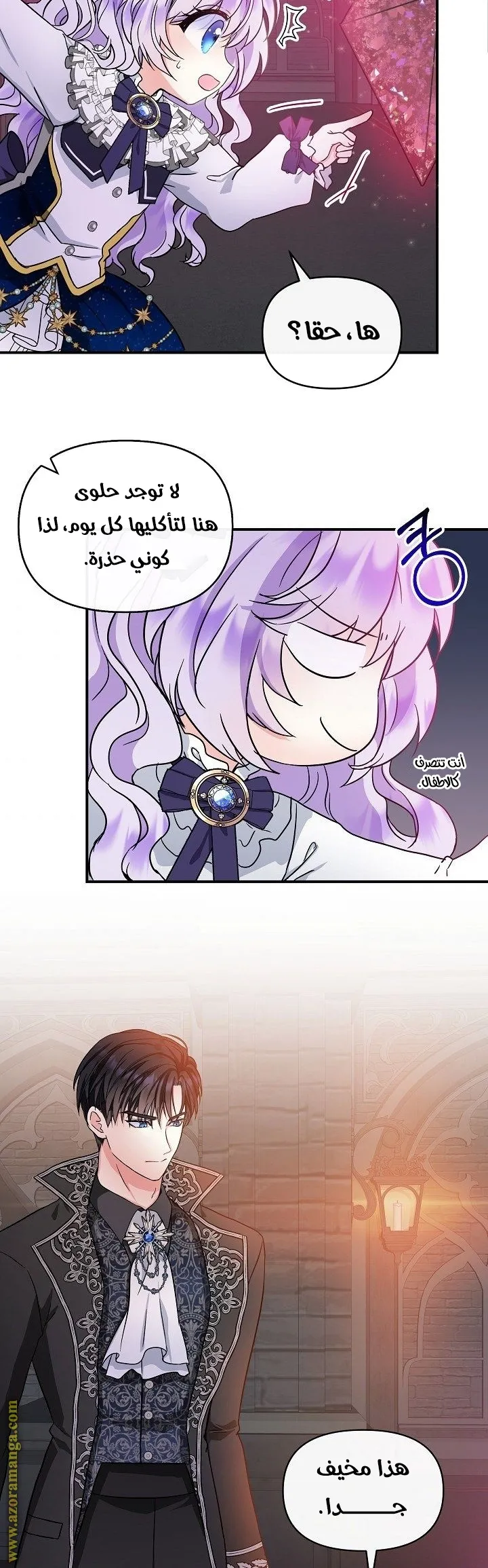 الصفحة 25