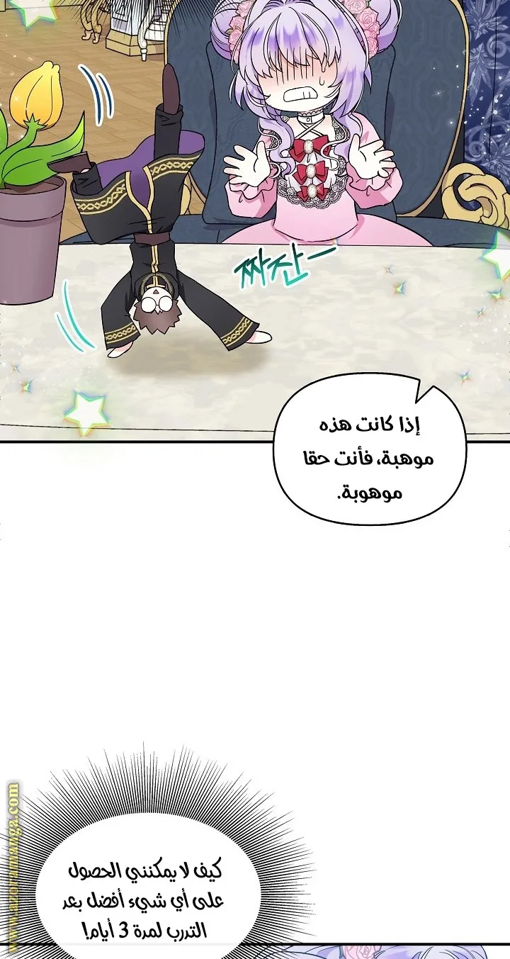 الصفحة 24