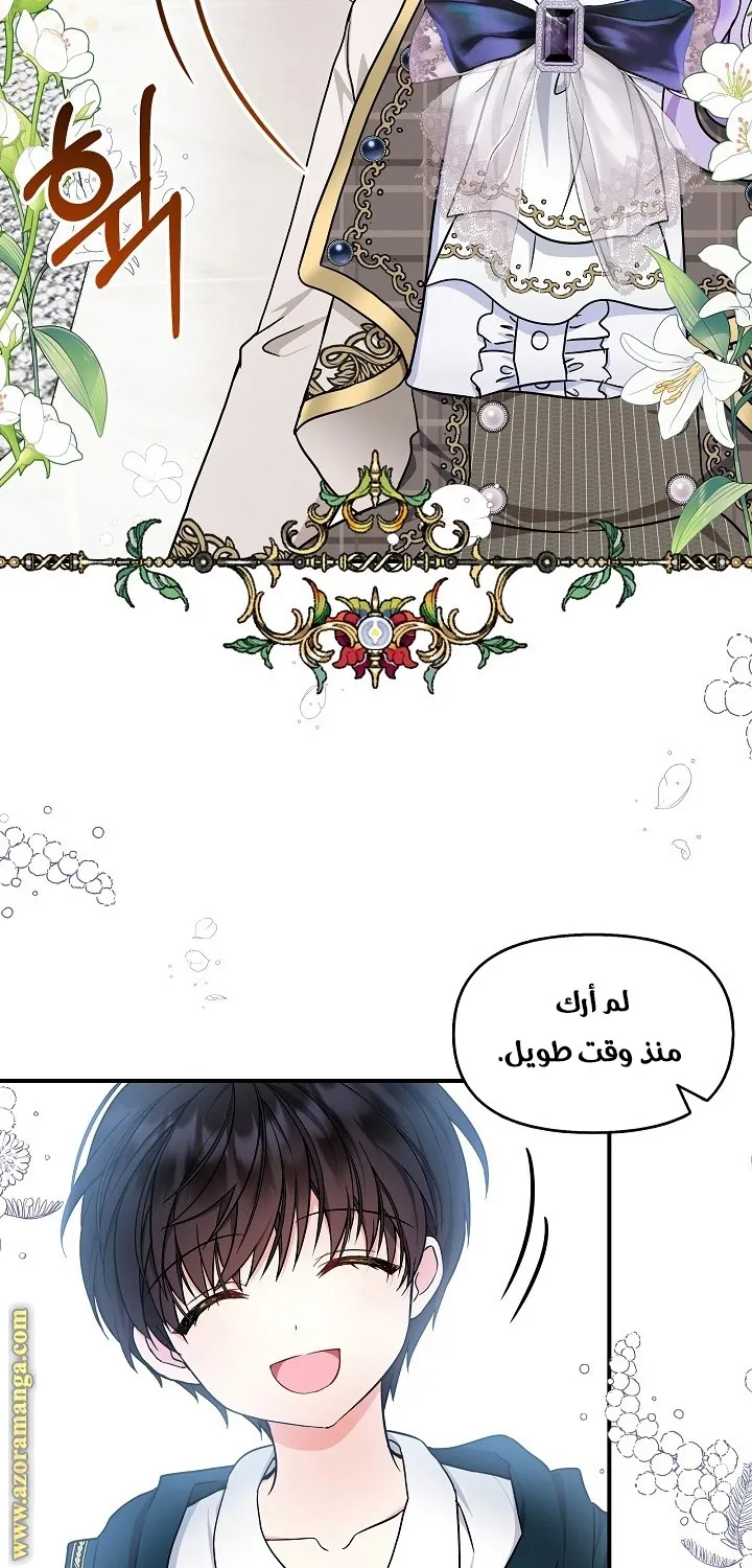 الصفحة 53