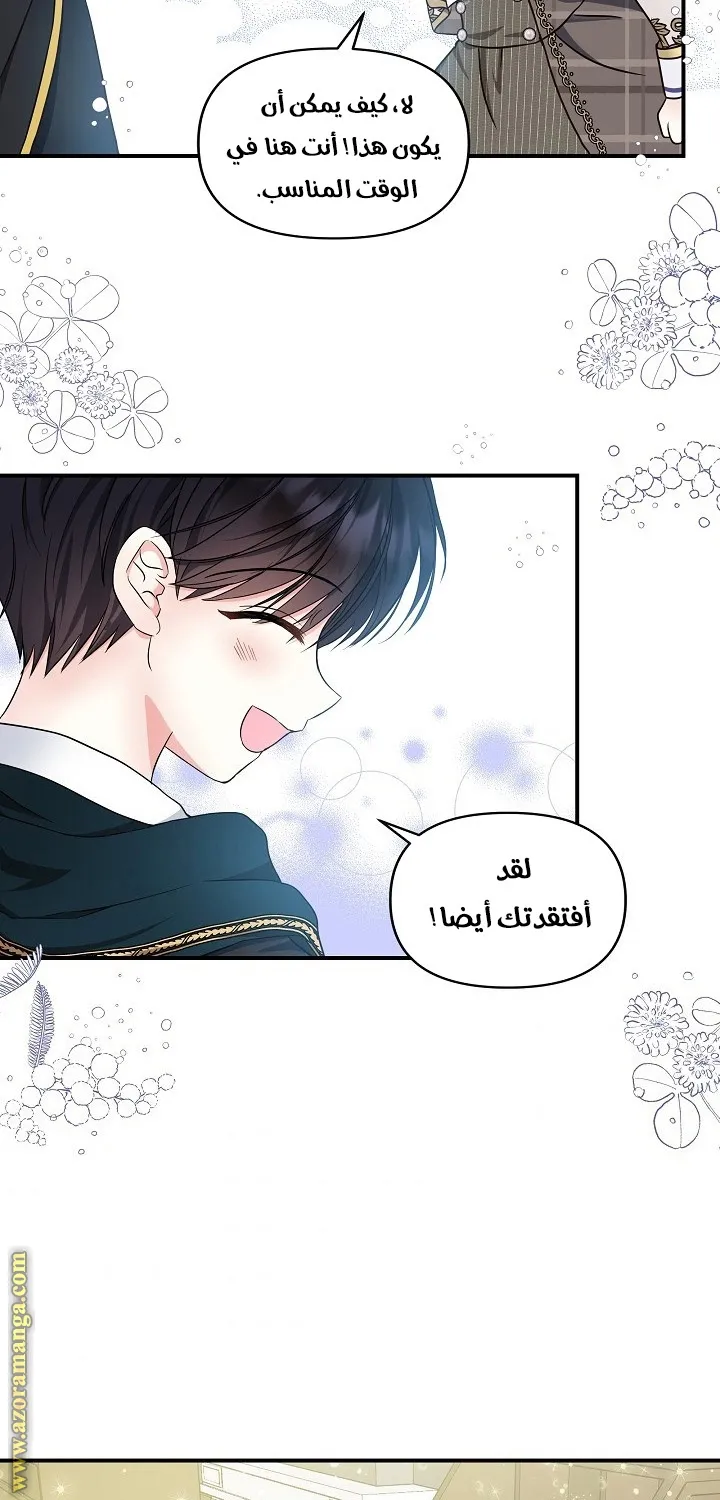 الصفحة 55