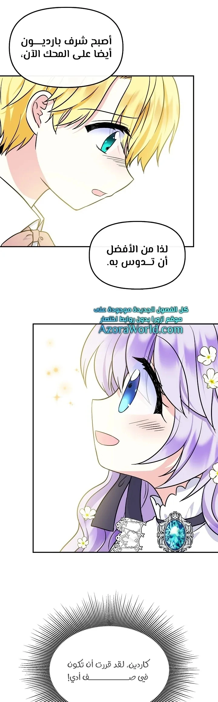 الصفحة 12