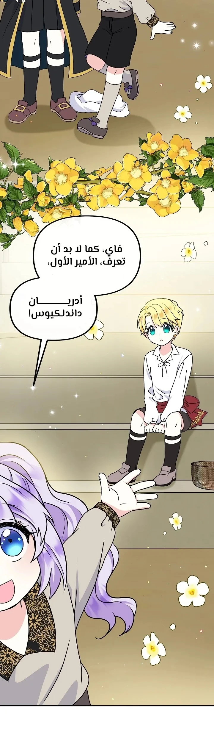 الصفحة 31