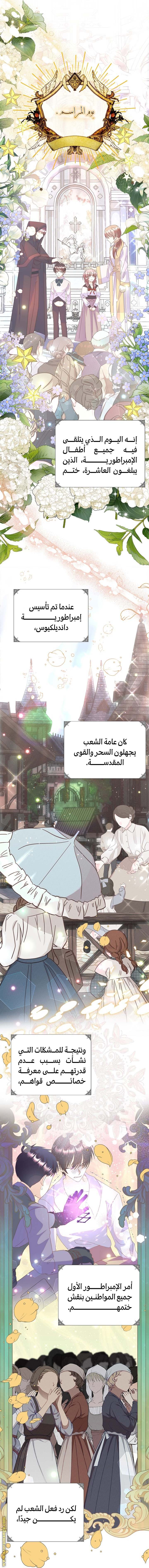 الصفحة 5