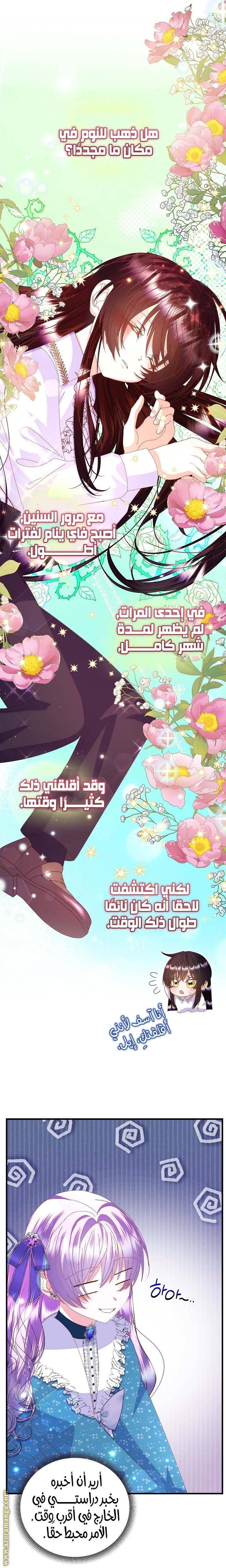 الصفحة 27