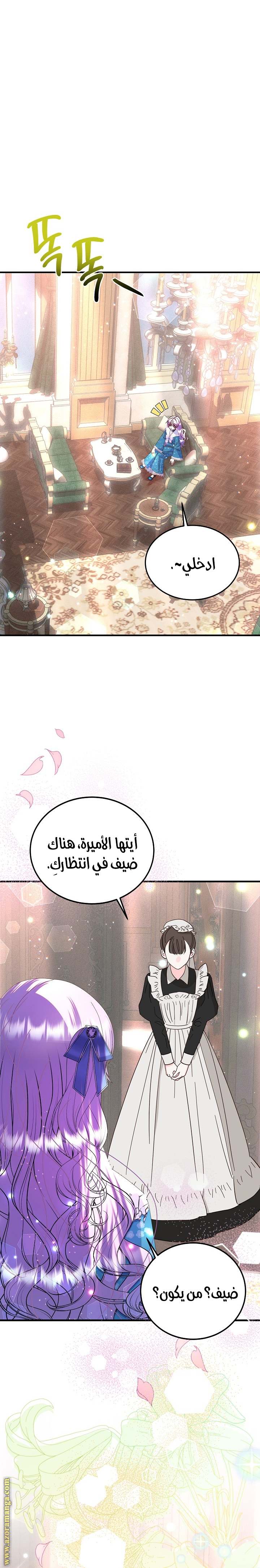 الصفحة 28