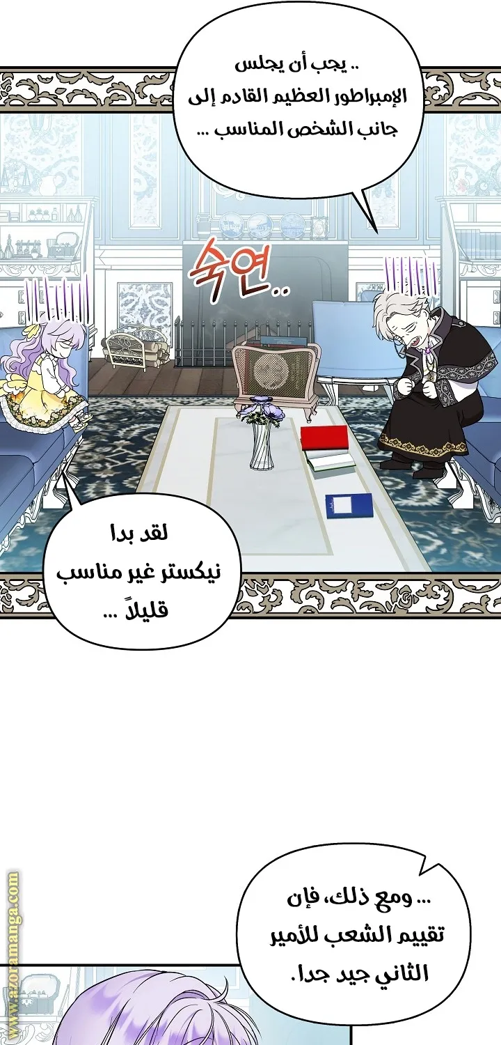 الصفحة 21