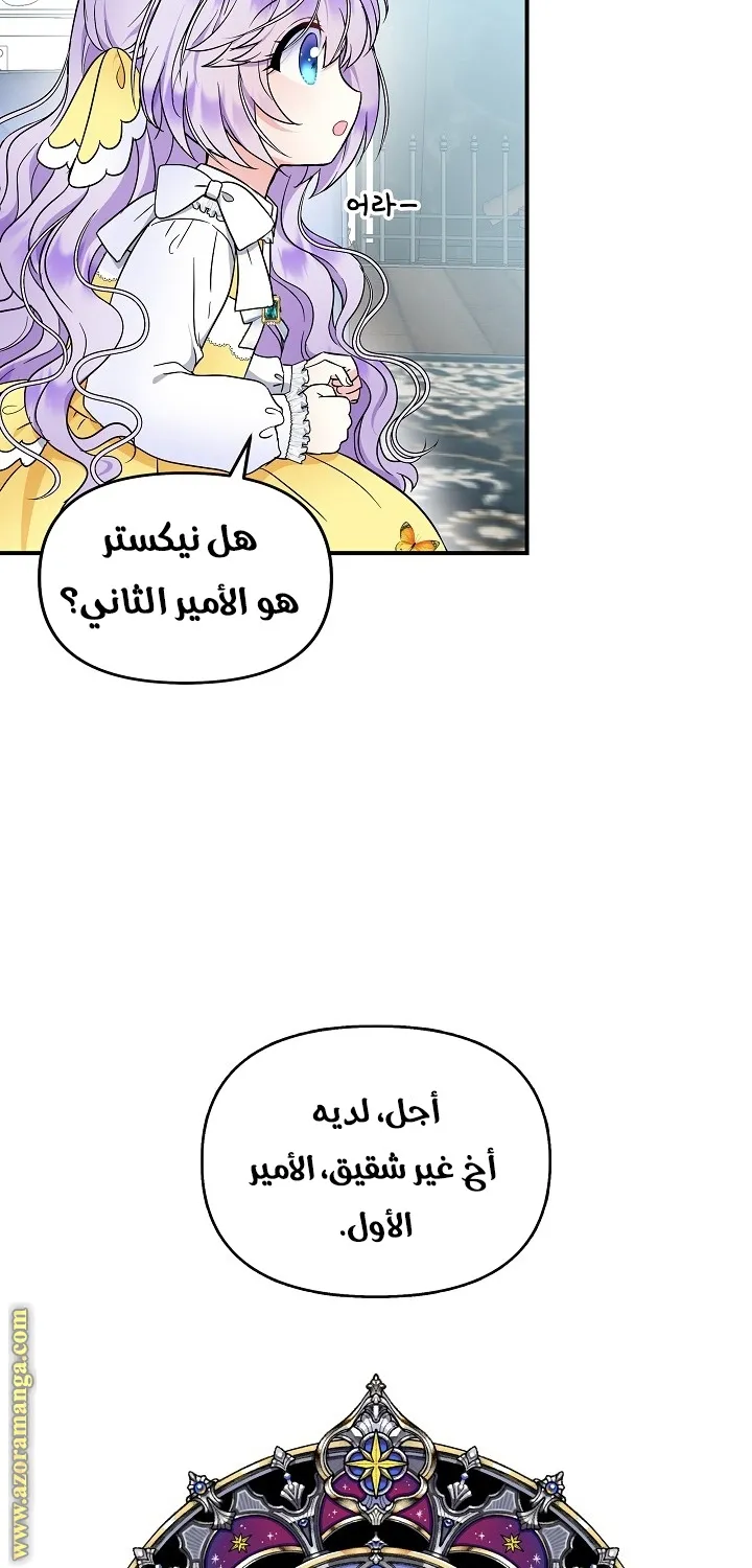 الصفحة 22