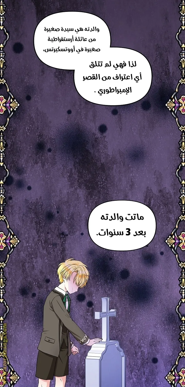 الصفحة 24