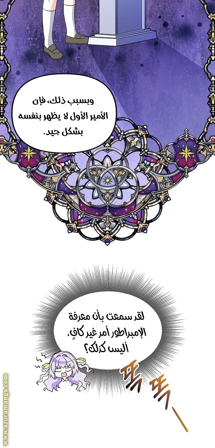 الصفحة 25