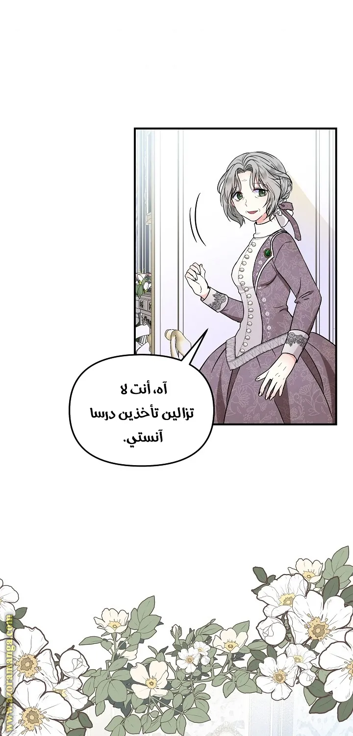 الصفحة 26