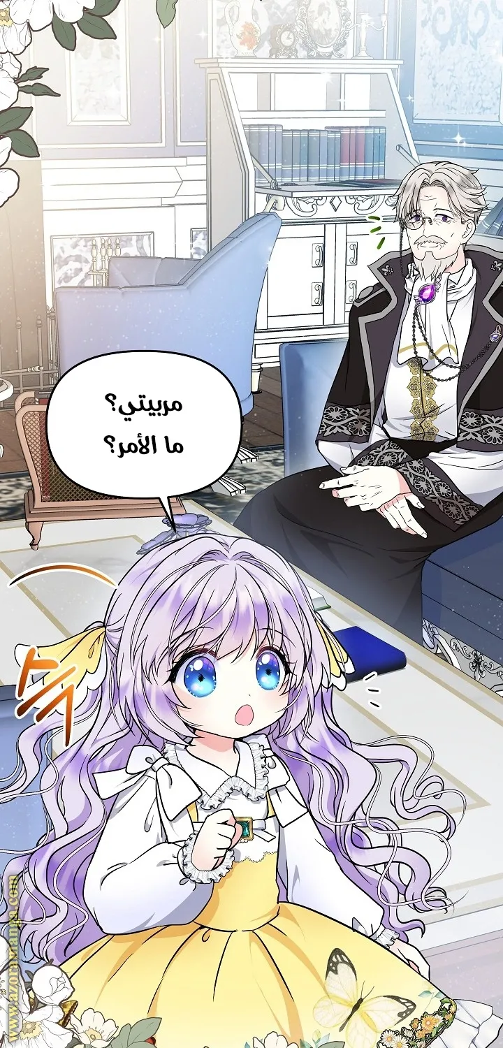الصفحة 27