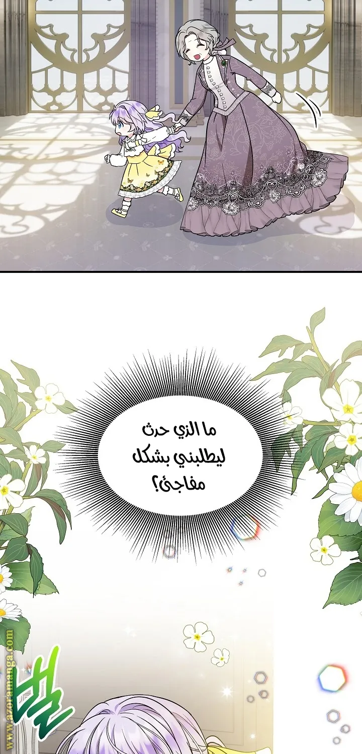 الصفحة 29