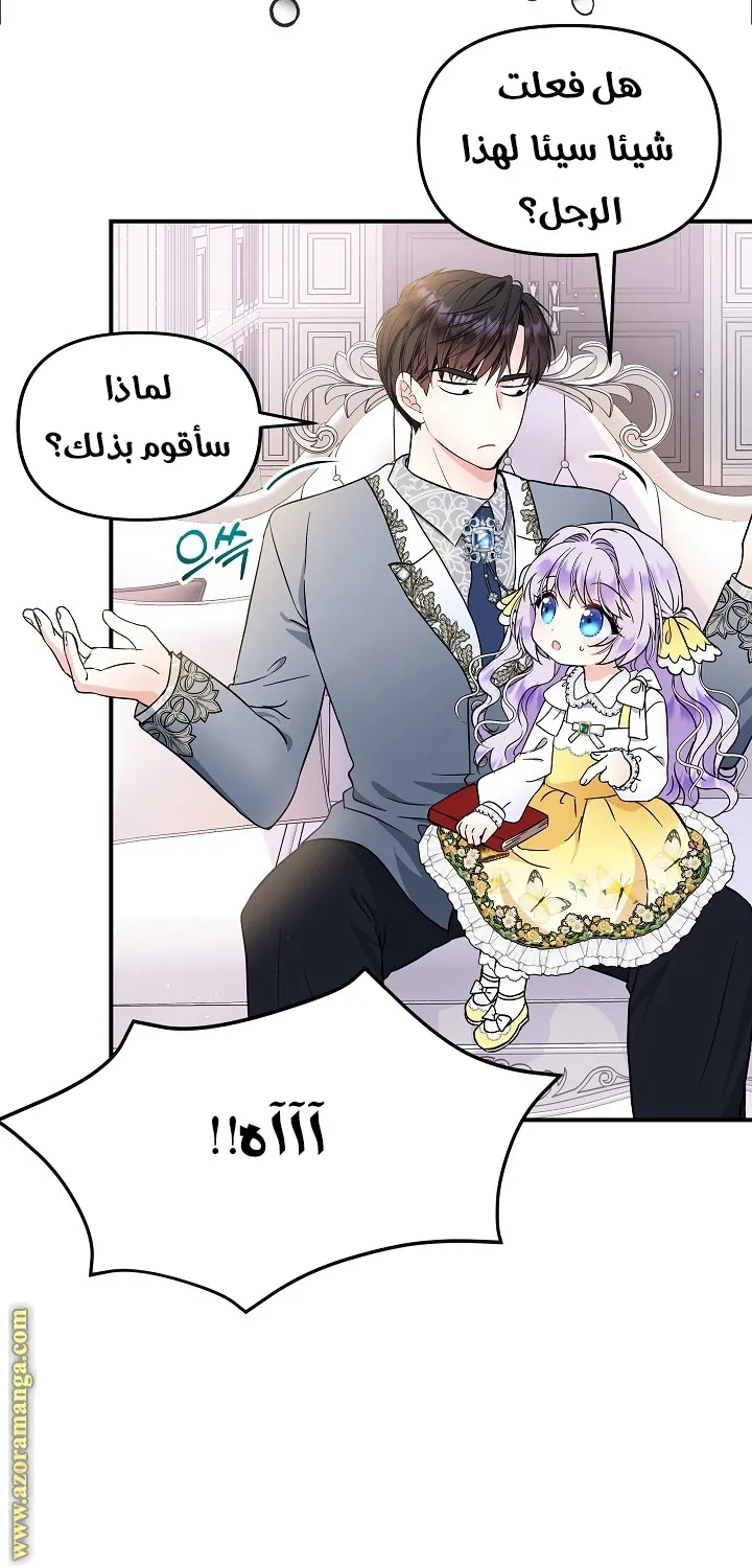 الصفحة 43