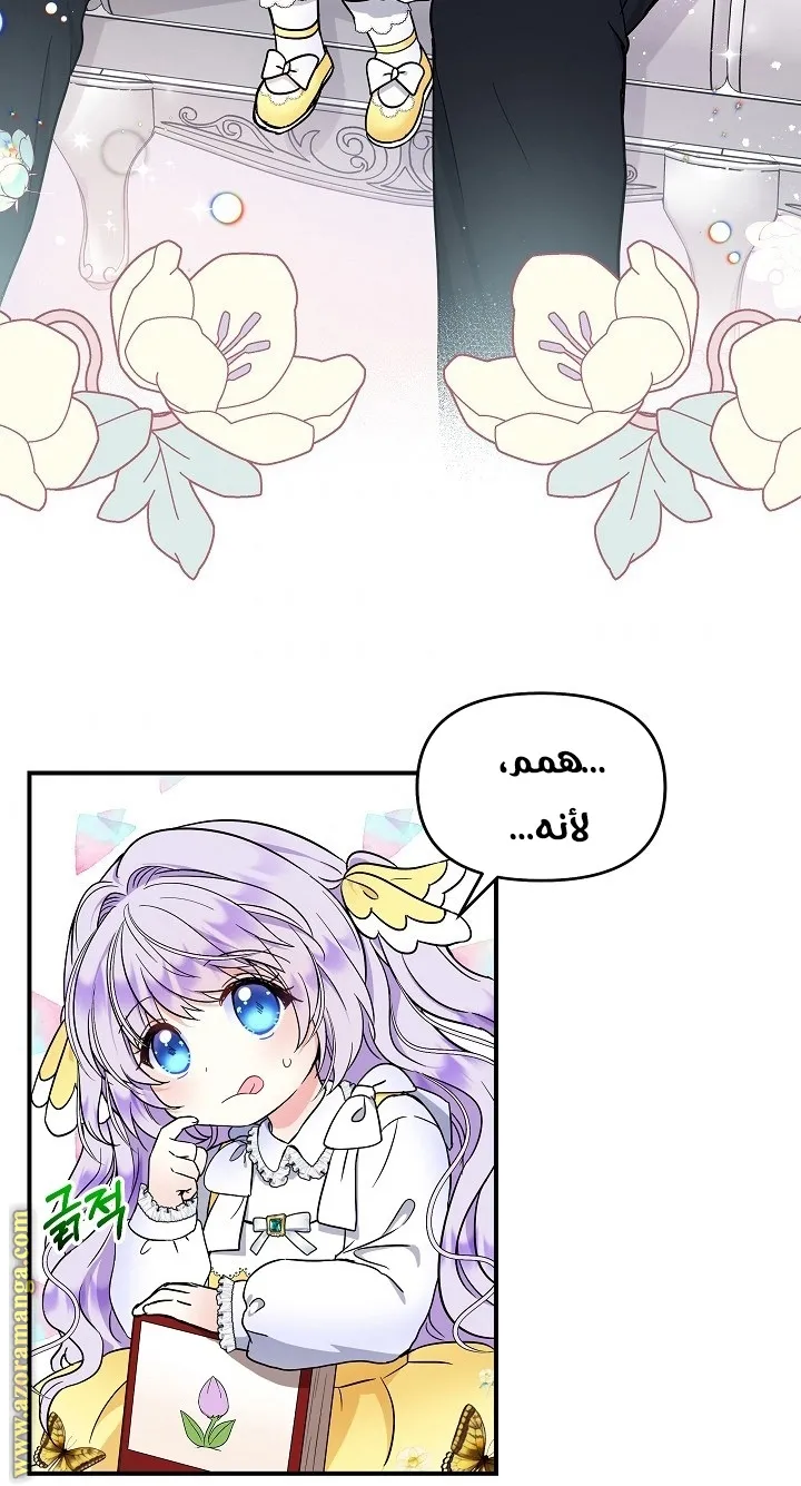 الصفحة 63