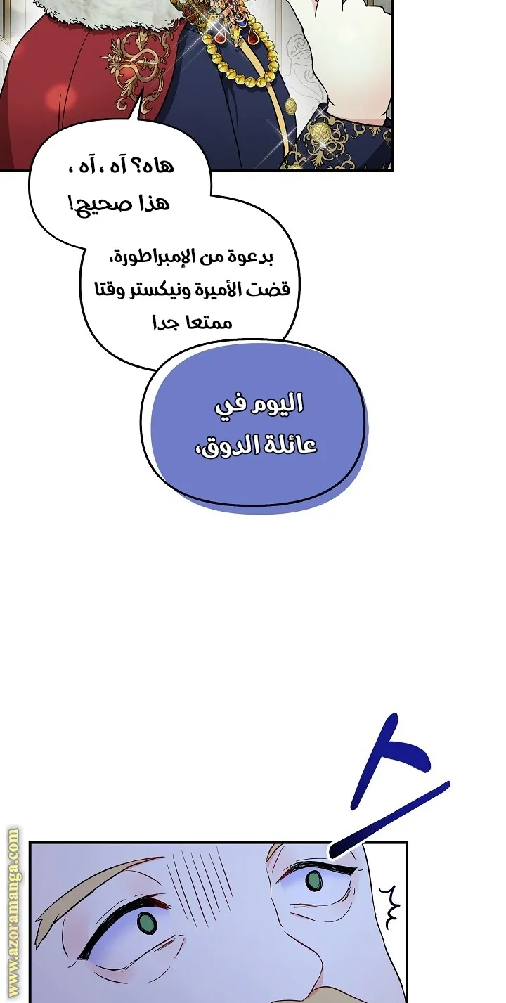 الصفحة 17