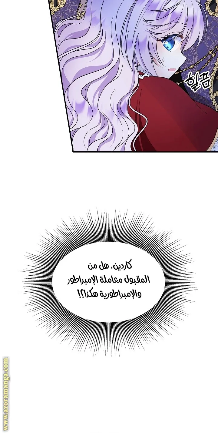 الصفحة 20