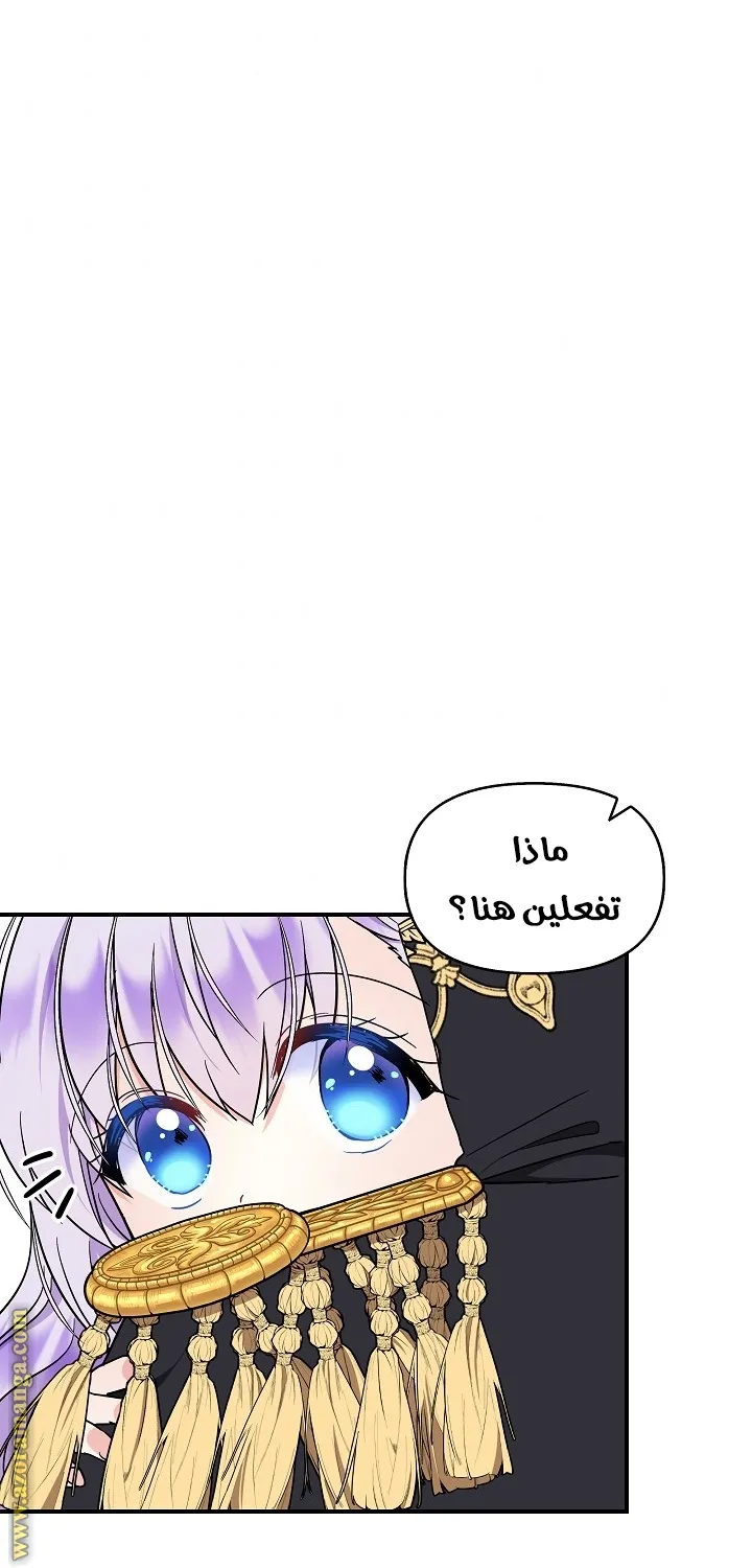 الصفحة 27