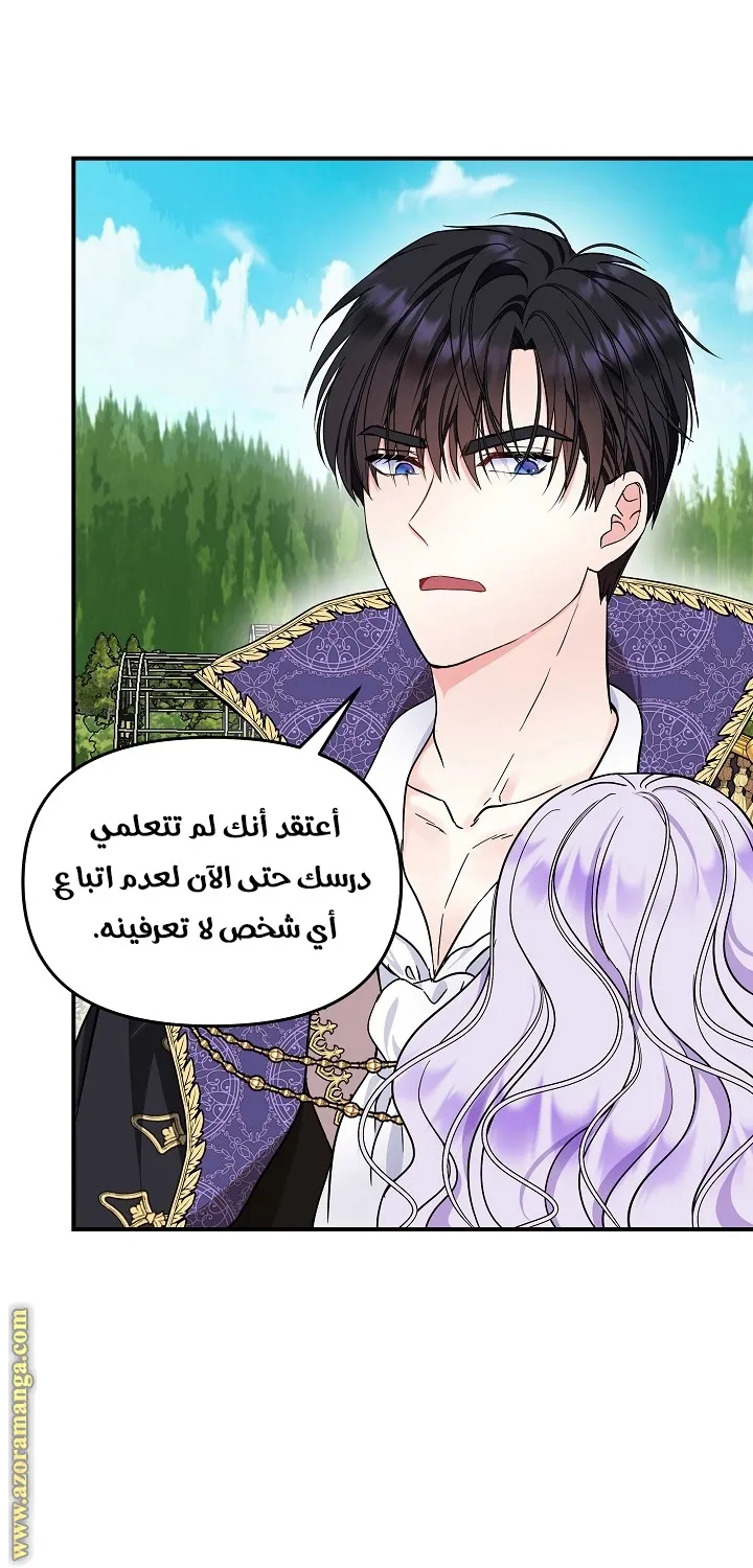 الصفحة 28
