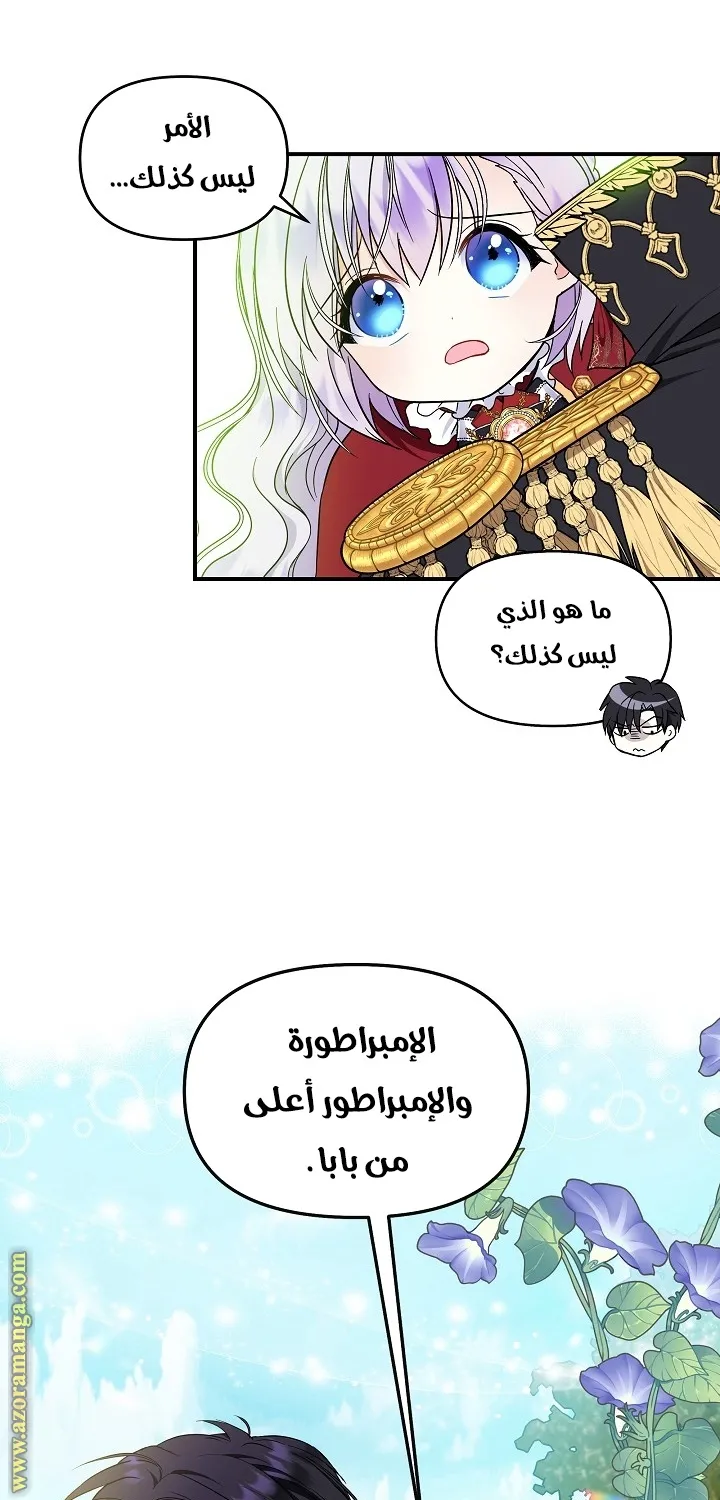 الصفحة 29