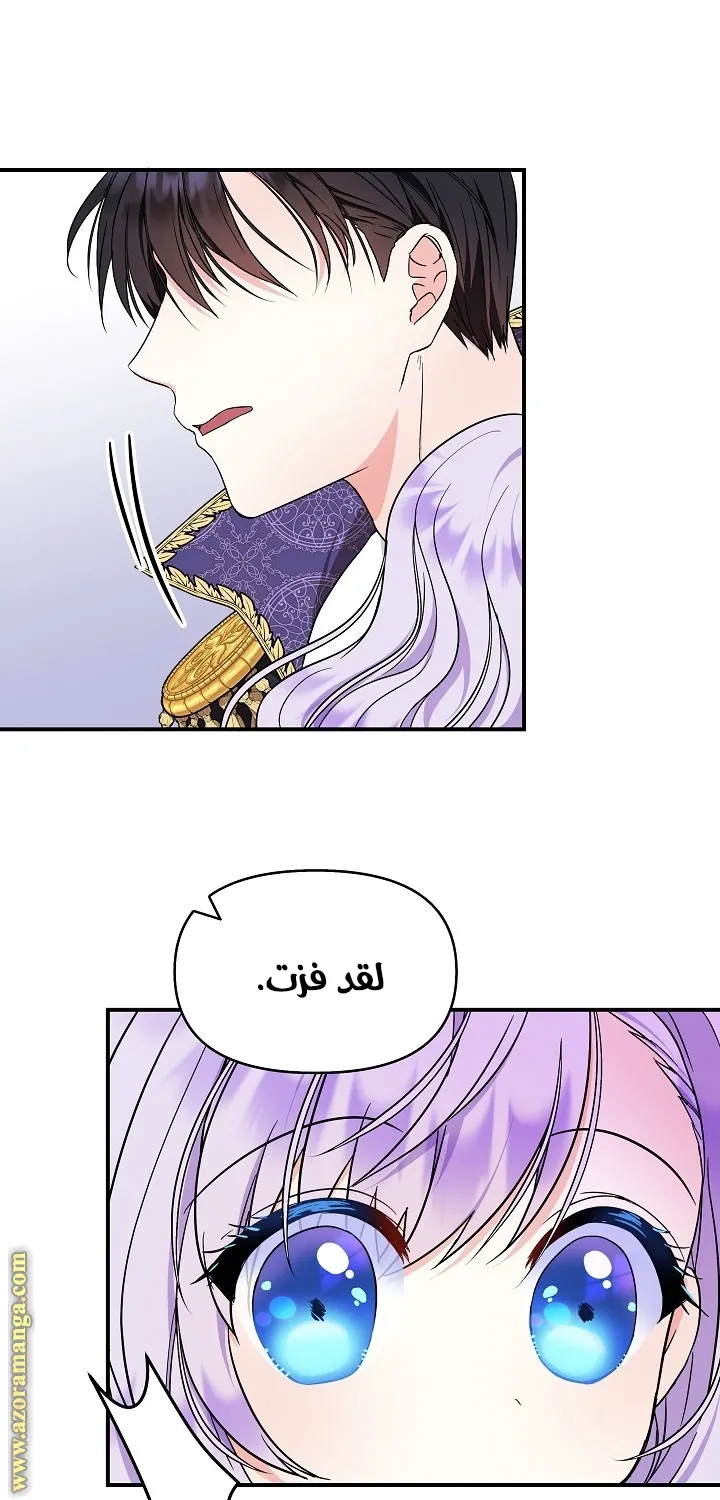الصفحة 31