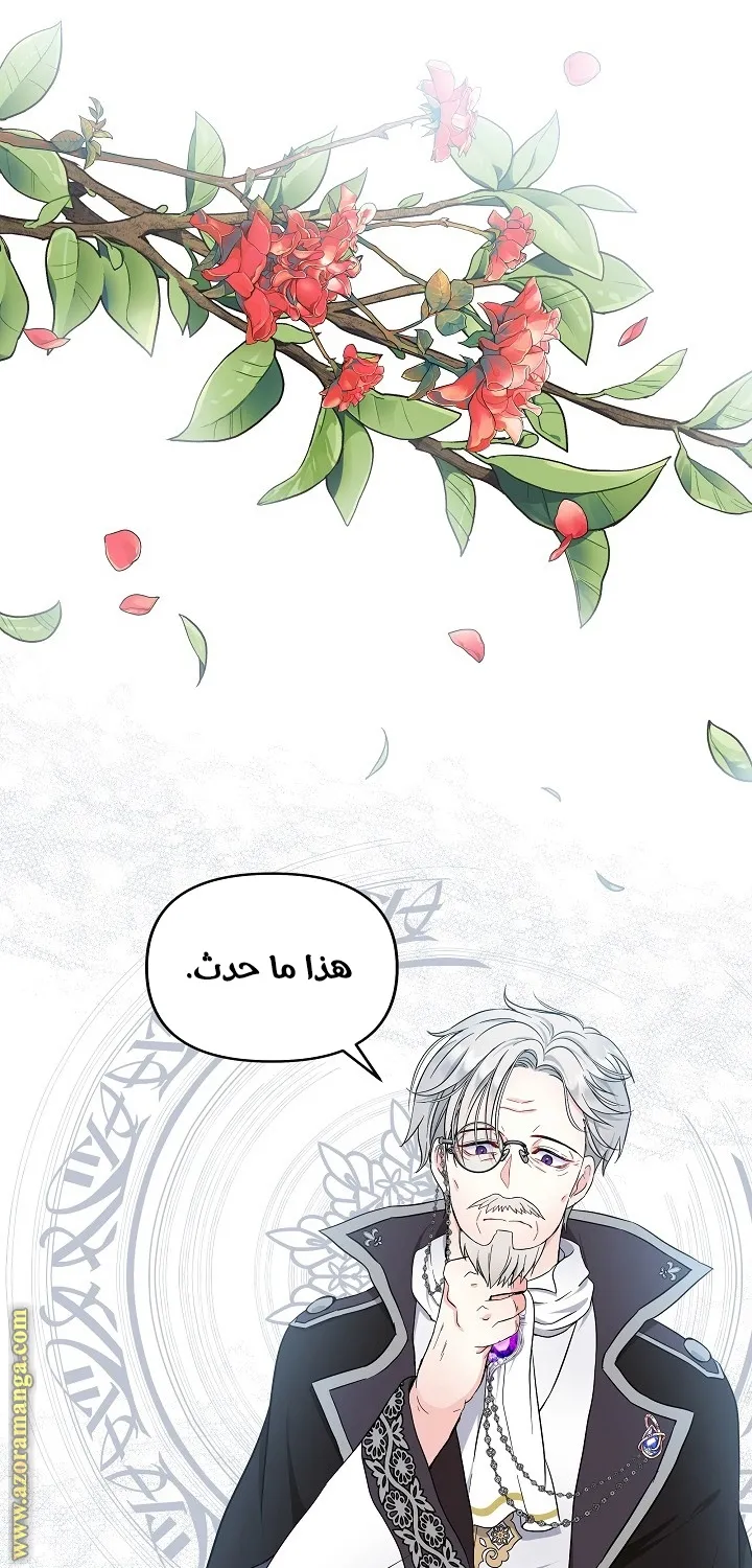 الصفحة 38