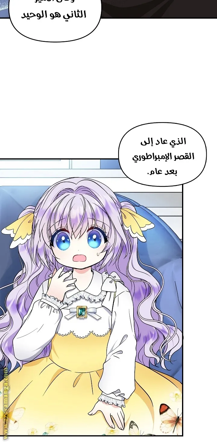 الصفحة 46