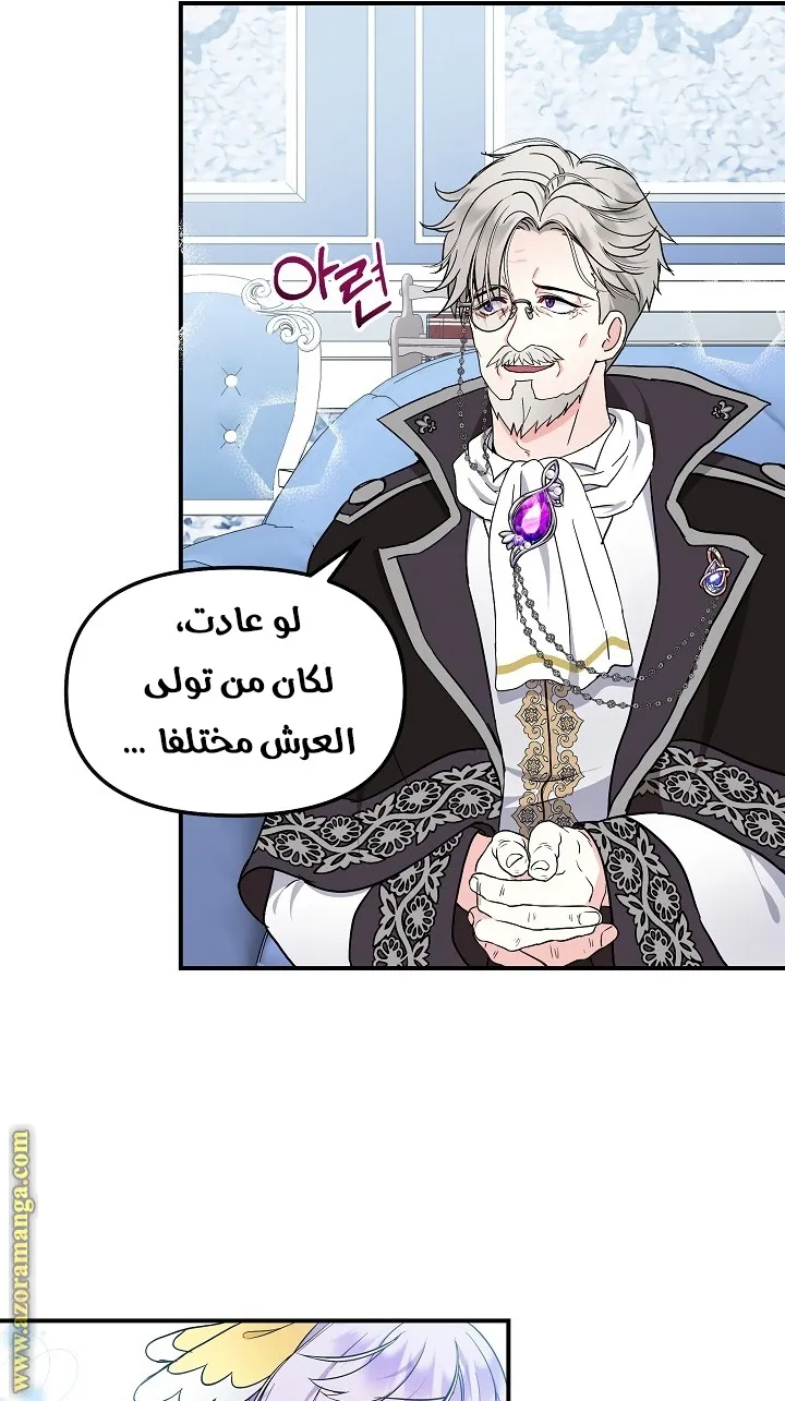 الصفحة 51