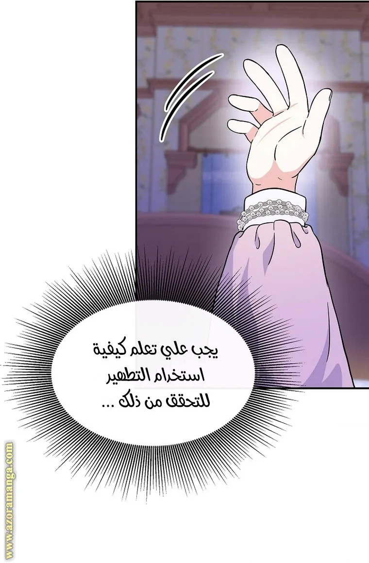 الصفحة 29