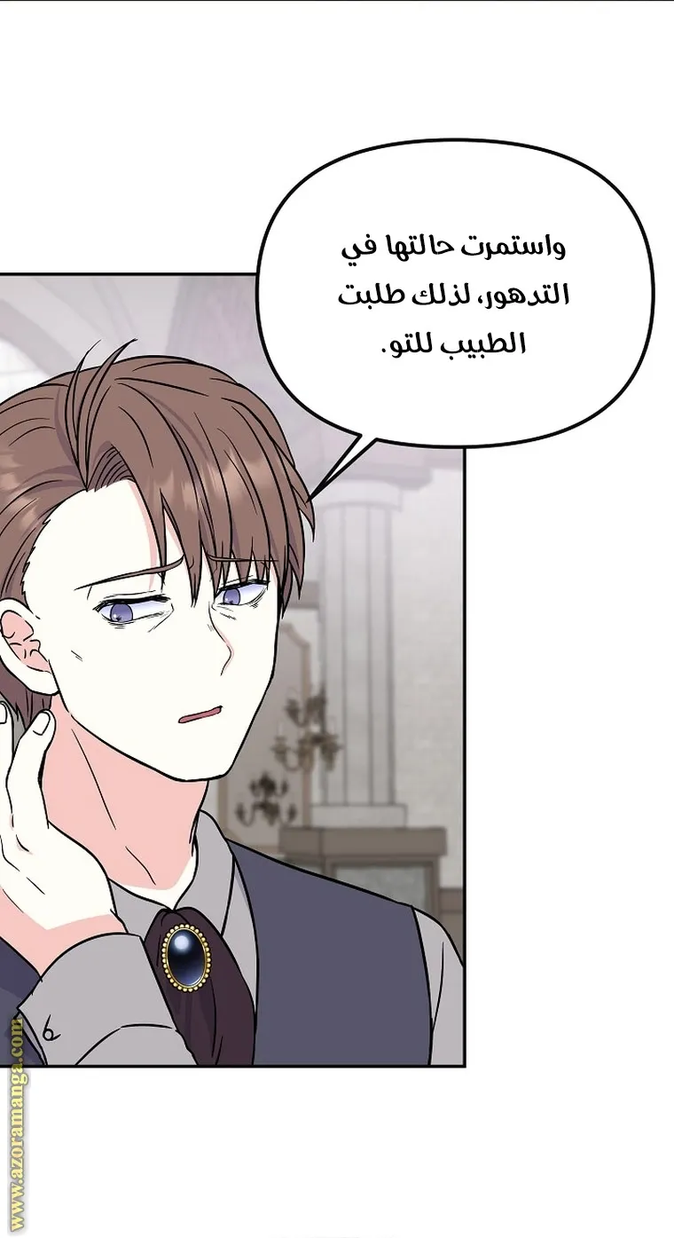 الصفحة 41