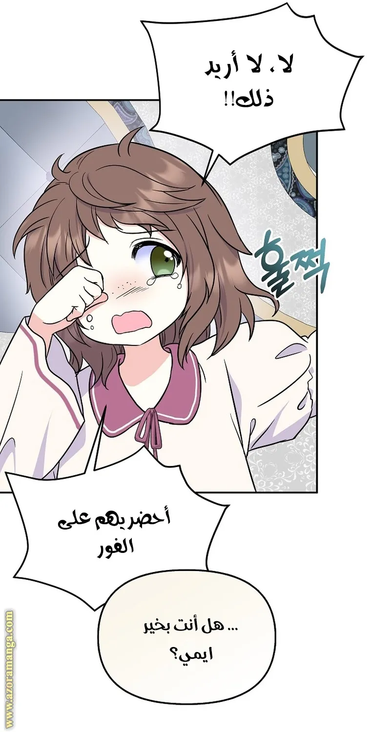 الصفحة 49