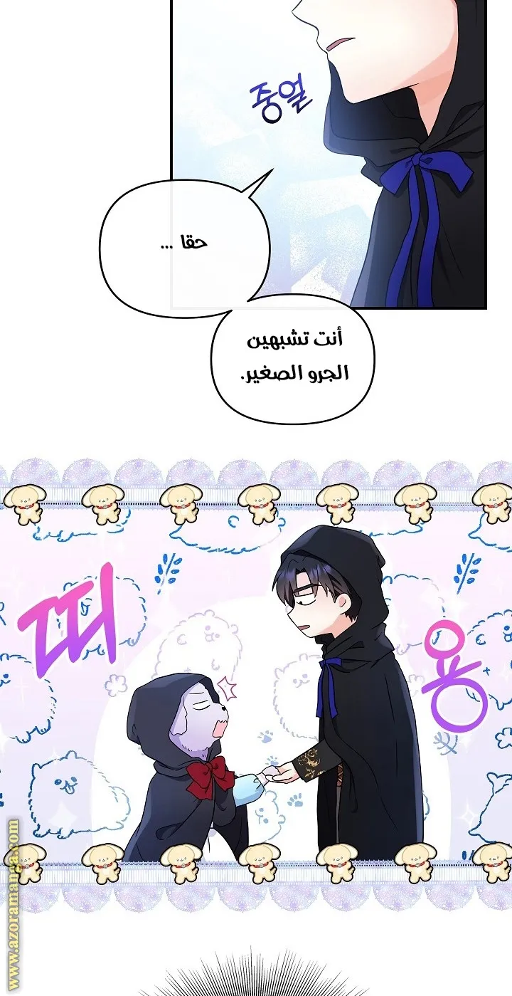 الصفحة 16